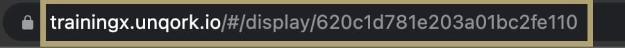A static image displaying the Express View URL.