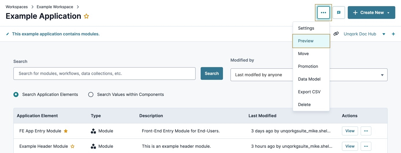 A static image displaying the Application page, the options button and Preview buttons are highlighted.