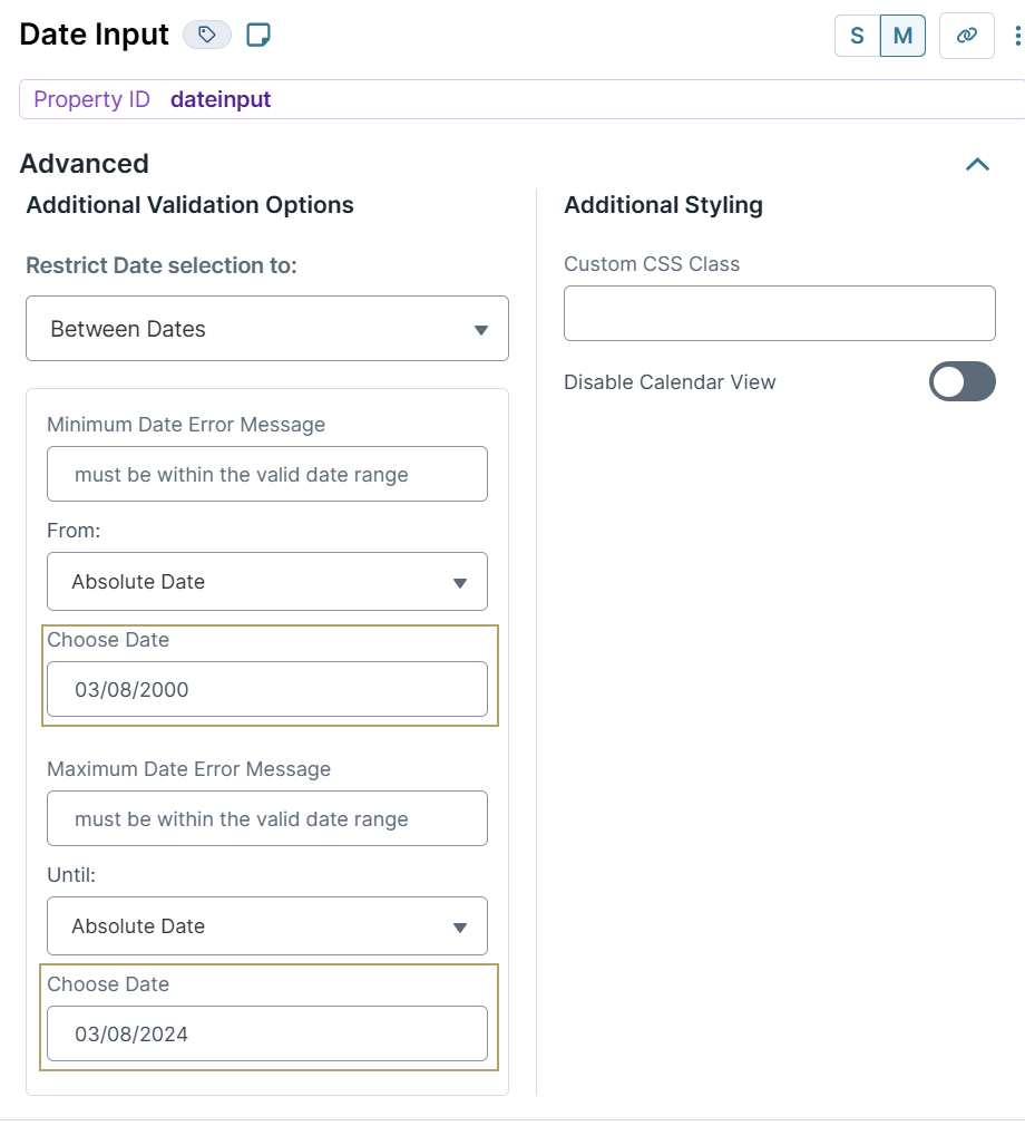 A static input displaying validation options of Date Input.