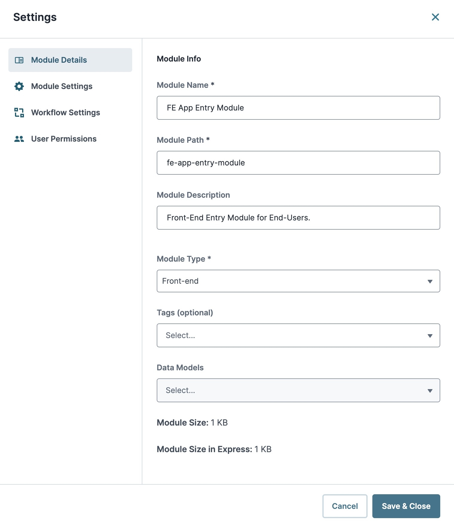 A static image displaying the Module Info section of the Module Settings.