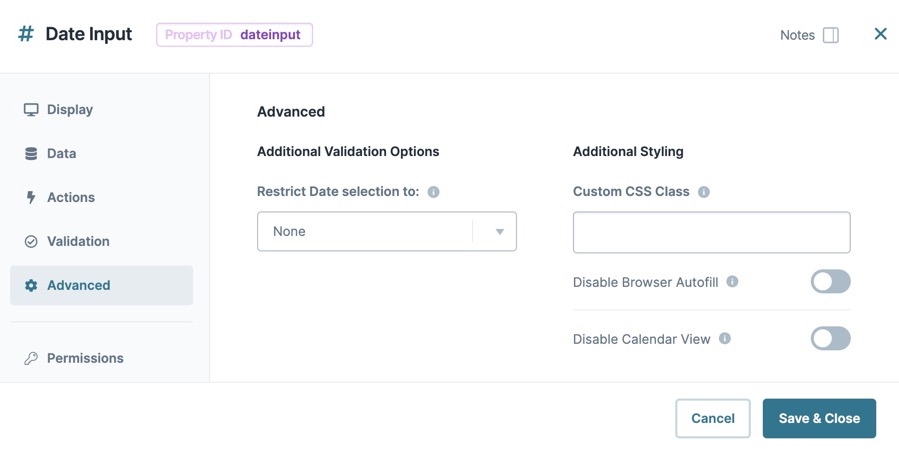 A static image dispaying the Date Input component's Advanced settings.