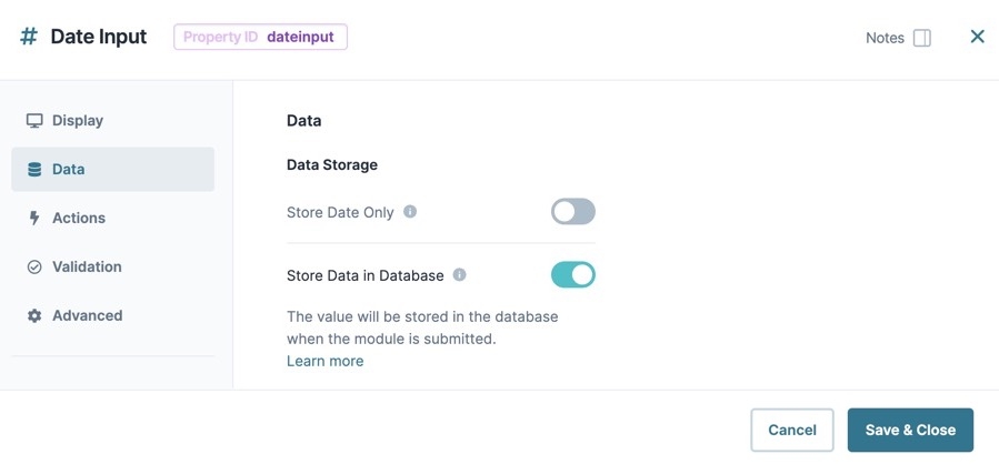 A static image dispaying the Date Input component's Data settings.