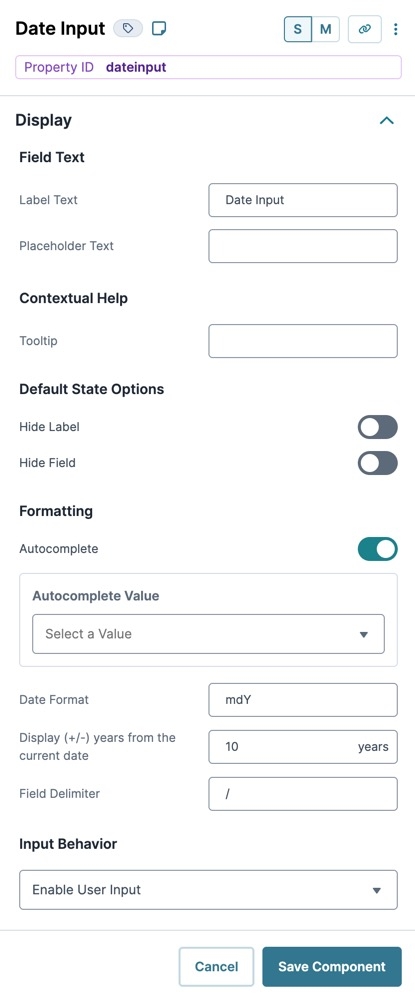 A static image dispaying the Date Input component's Display settings.