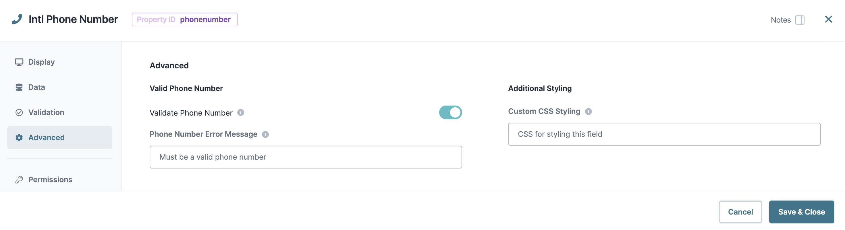 A static image displaying the Intl Phone Number component's Advanced settings.