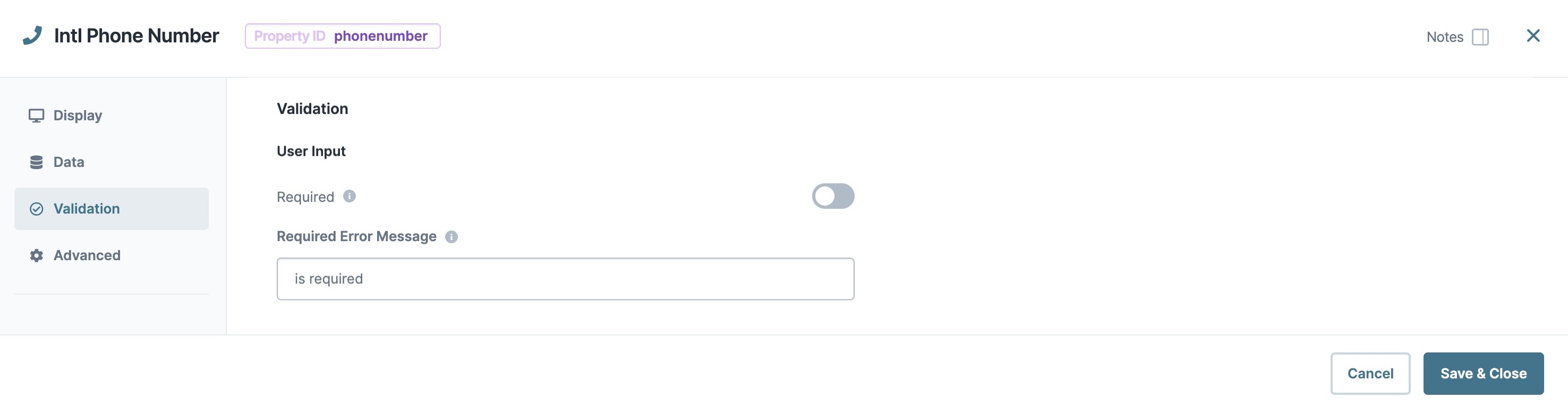 A static image displaying the Intl Phone Number component's Validation settings.