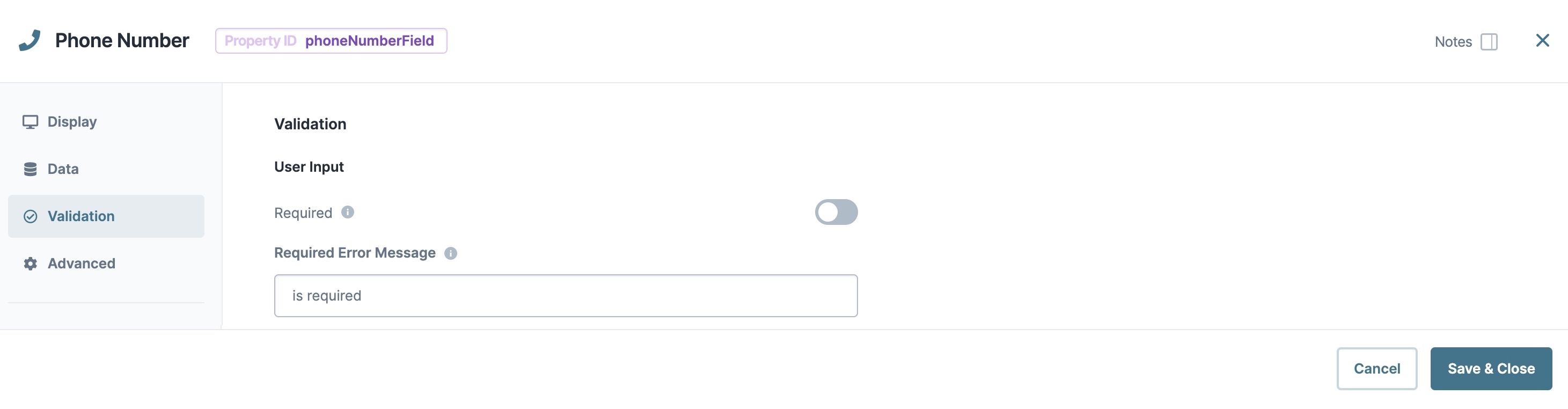 A static image displaying the Phone Number component's Validation settings.