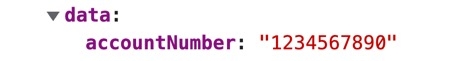 A static image displaying the Developer Console view, the Submission Data displays the Protected Field component as a key-value pair.