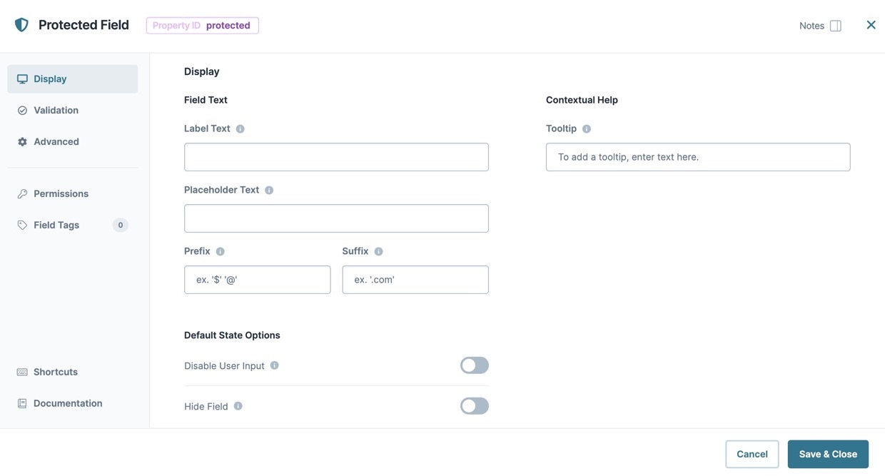 A static image dispaying the Protected Field component's Display settings.