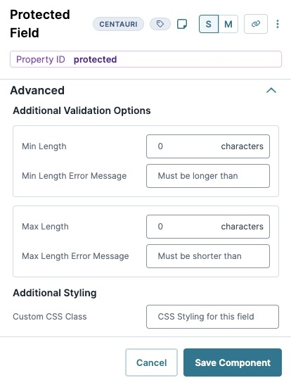 A static image dispaying the Protected Field component's Advanced settings.