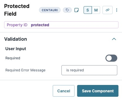 A static image dispaying the Protected Field component's Validation settings.