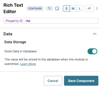 A static image displaying the Rich Text Editor's Data settings.