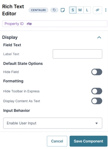 A static image displaying the Rich Text Editor's Display settings.