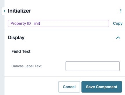 A static displaying the Initalizer Component's Display settings.
