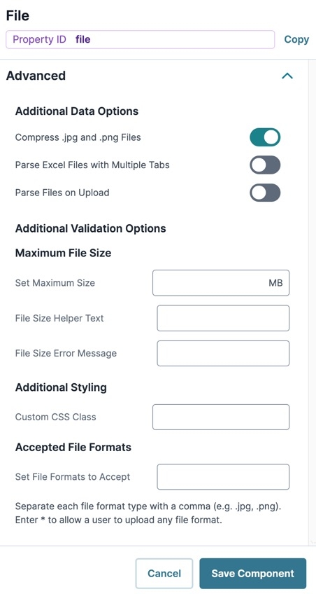 A static image displaying the File Component's Advanced settings.