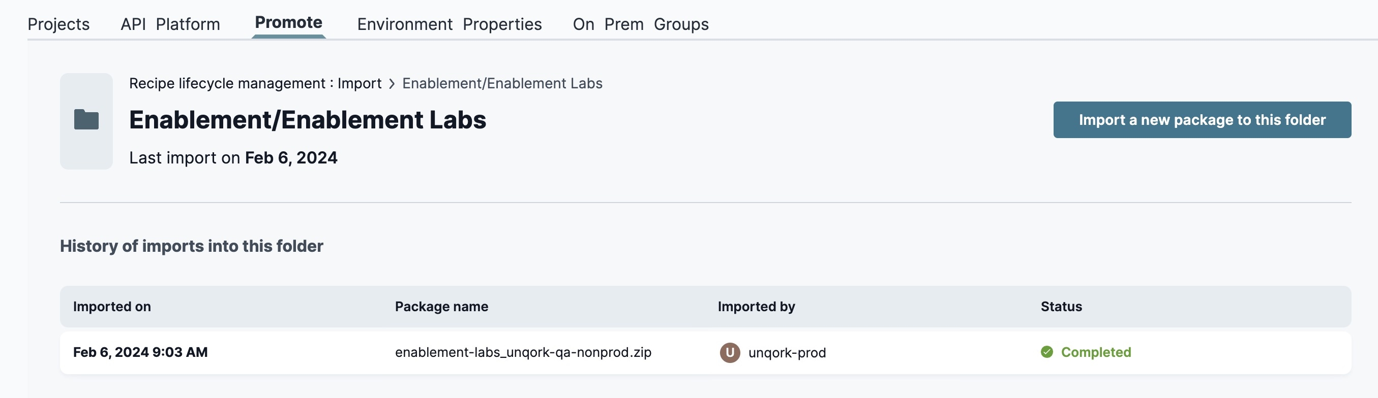 A static image displaying the imported file in your production environment level's project folder.